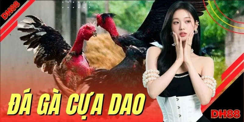 Đá Gà Cựa Dao